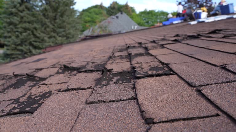 Best Roof Leak Repair  in Fellsburg, PA